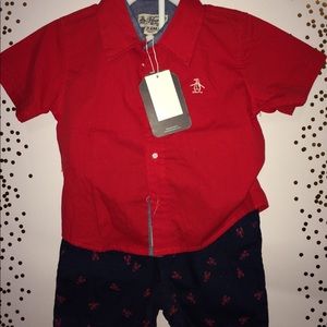 Original Penguin Toddler Boy Summer set